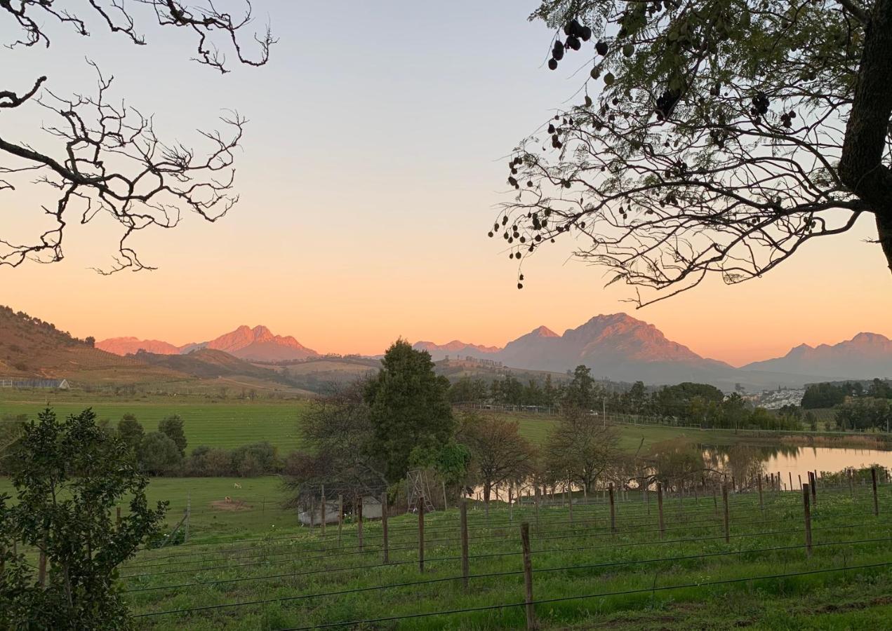 Wildlife Retreat On A Wine-Farm Villa Stellenbosch Exterior photo