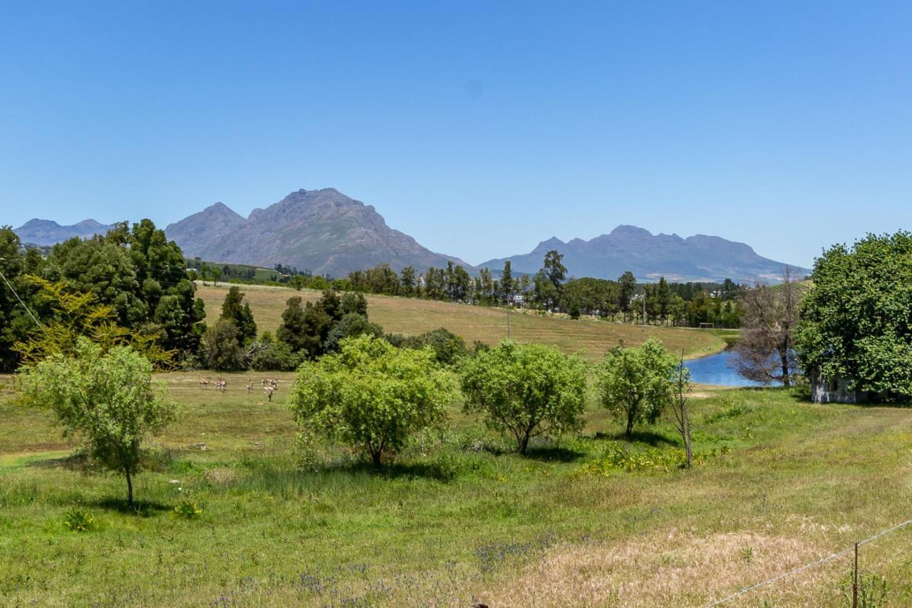 Wildlife Retreat On A Wine-Farm Villa Stellenbosch Exterior photo